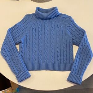 Merino Wool/Cotton Blend Blue Cable Knit Turtleneck Sweater from Aritzia